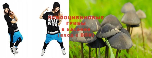 apvp Лагань
