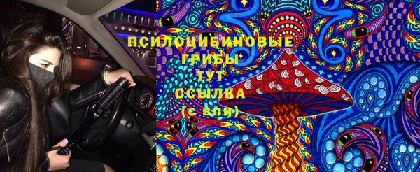 apvp Лагань