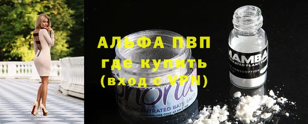 гидра Ладушкин