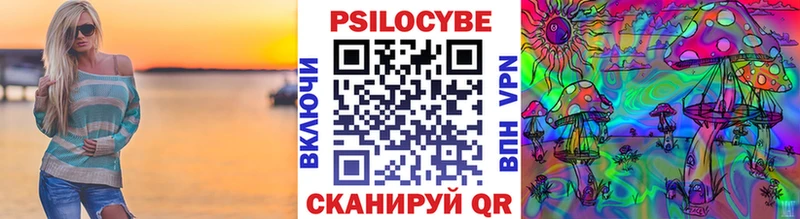 Купить закладки  Великий Новгород  Галлюциногенные грибы GOLDEN TEACHER 
